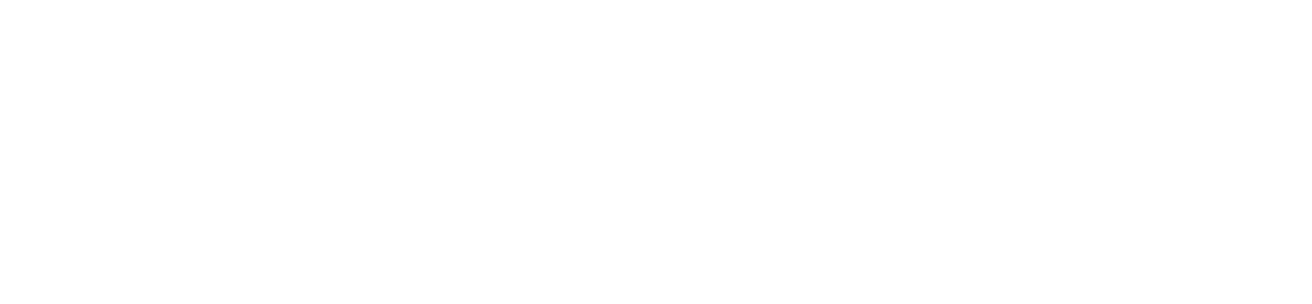 renewable inspections logo